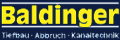 Baldinger GmbH & Co.KG